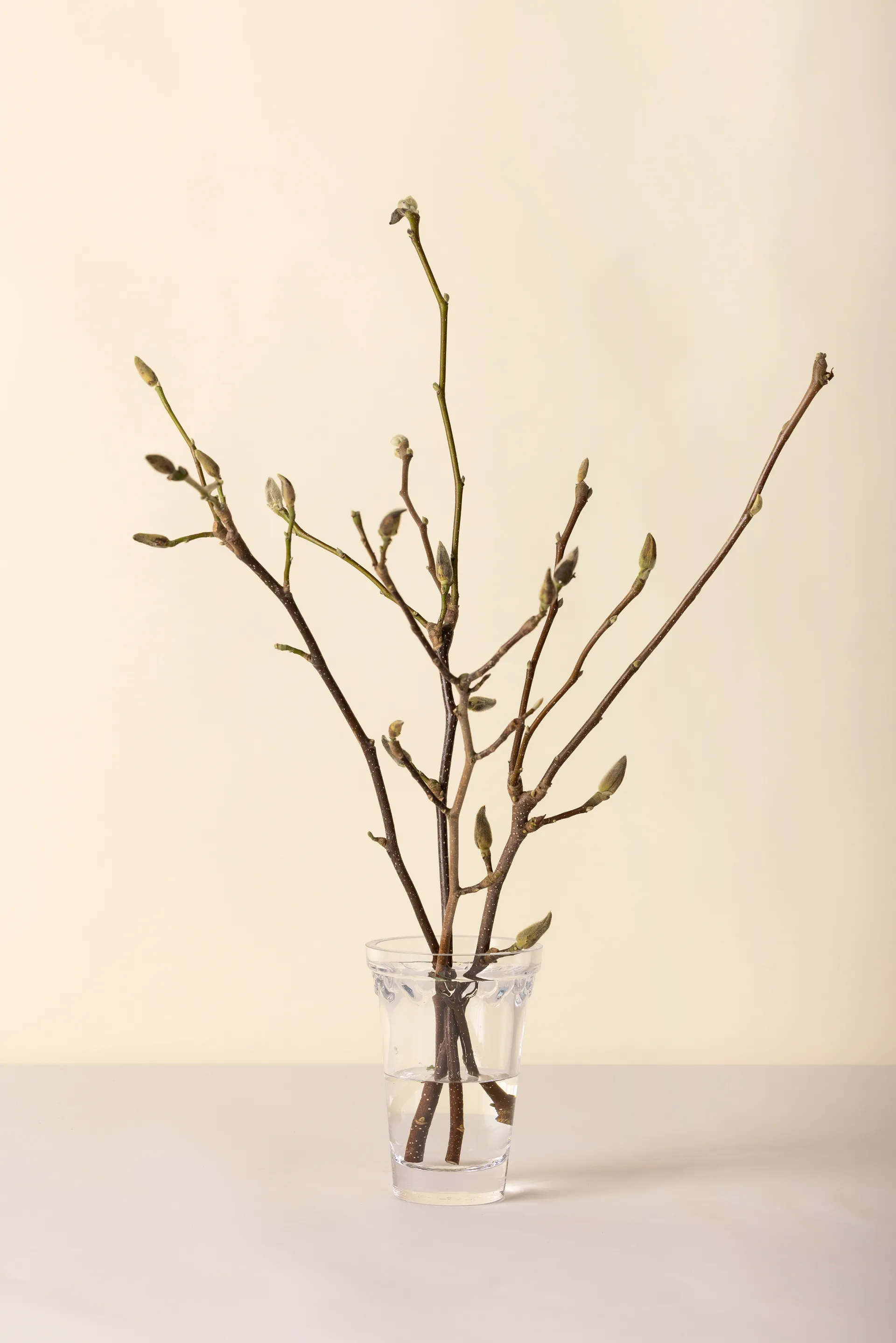 Kopenhagen Vase, Klar, 18,5 cm Bergs Potter