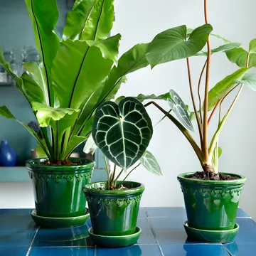 Köpenhamn Blumentopf glasiert - Grün, Ø18 cm - Bergs Potter