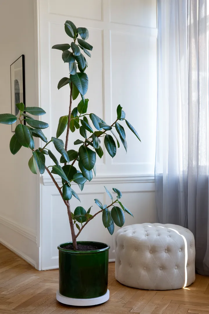 Modena Blumentopf glasiert Ø 30 cm | Bergs Potter → NordicNest.de