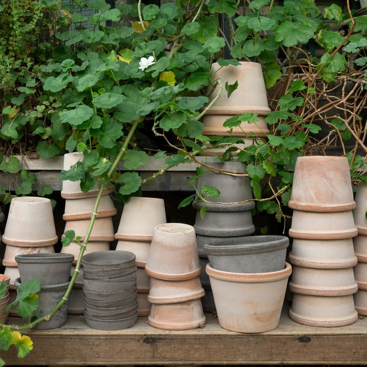 Parade Blumentopf Ø13 cm, Grau Bergs Potter