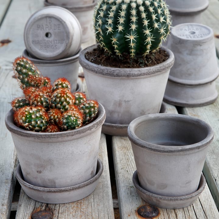 Parade Blumentopf Ø13 cm, Grau Bergs Potter
