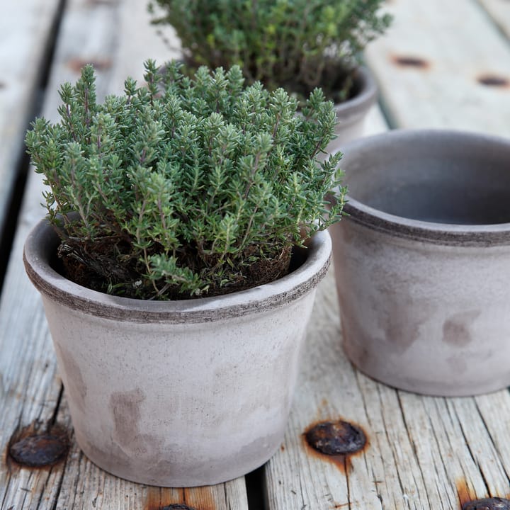 Parade Blumentopf Ø15 cm, Grau Bergs Potter