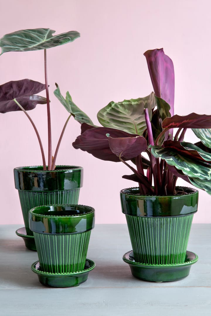 Simona Blumentopf glasiert Ø 18 cm, Green Bergs Potter
