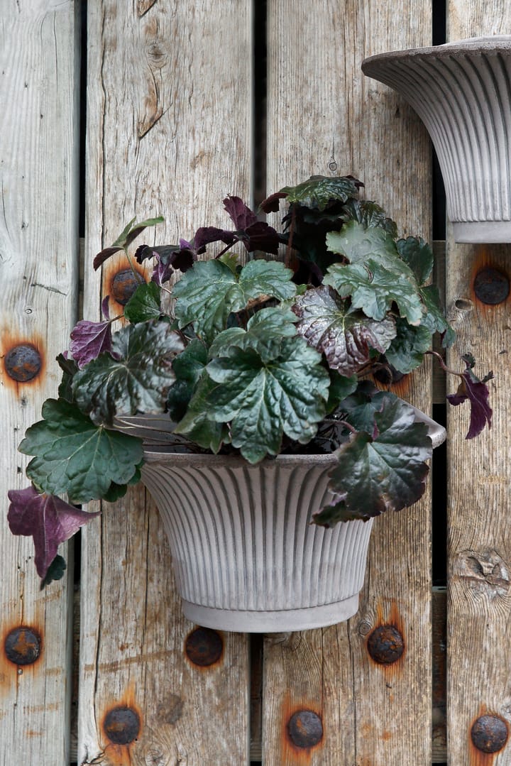 Wall Daisy Wandblumentopf Ø30cm - Grau - Bergs Potter