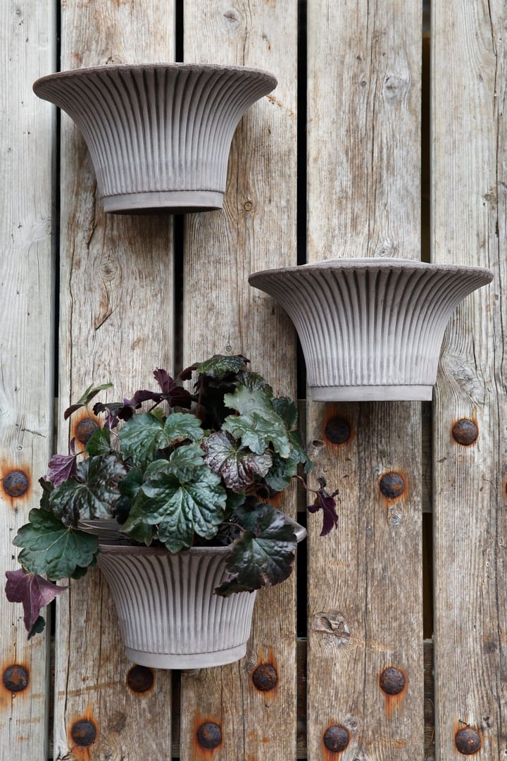 Wall Daisy Wandblumentopf Ø30cm - Grau - Bergs Potter
