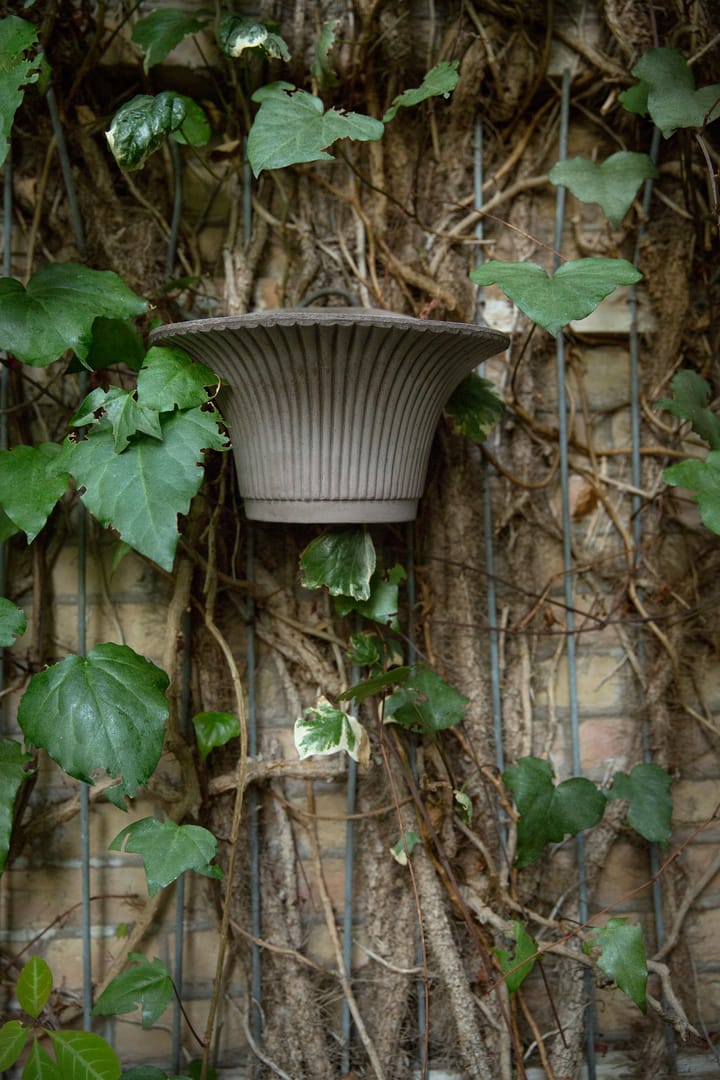 Wall Daisy Wandblumentopf Ø30cm - Grau - Bergs Potter