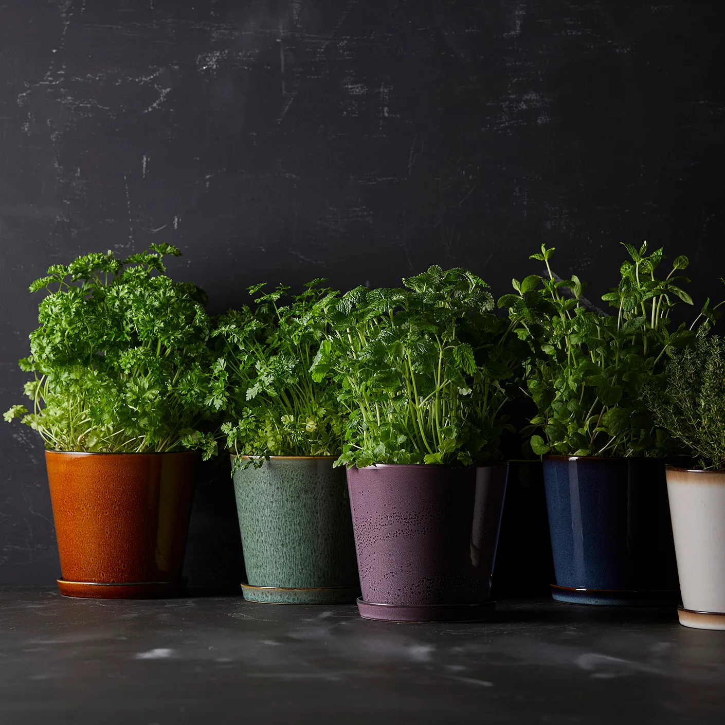 Bitz Blumentopf Ø14cm, Grün-schwarz Bitz