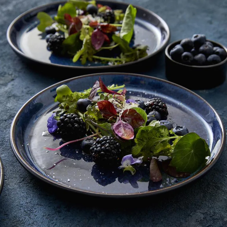 Bitz Teller gastro Ø 21cm, Schwarz-dunkelblau Bitz