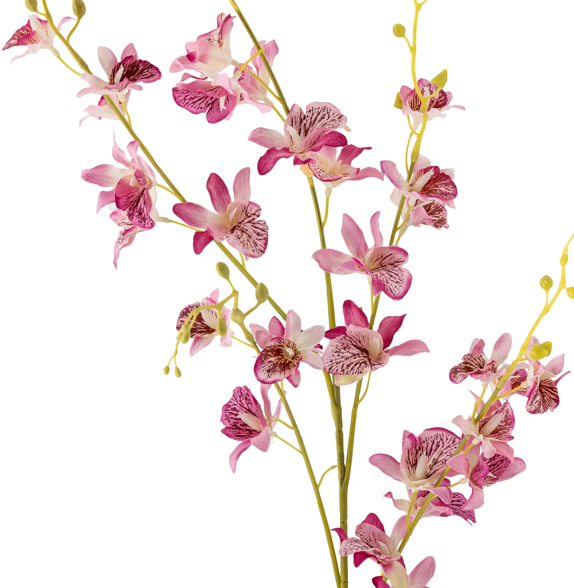 Stem Orchidee Wachsblume, Pink Bloomingville