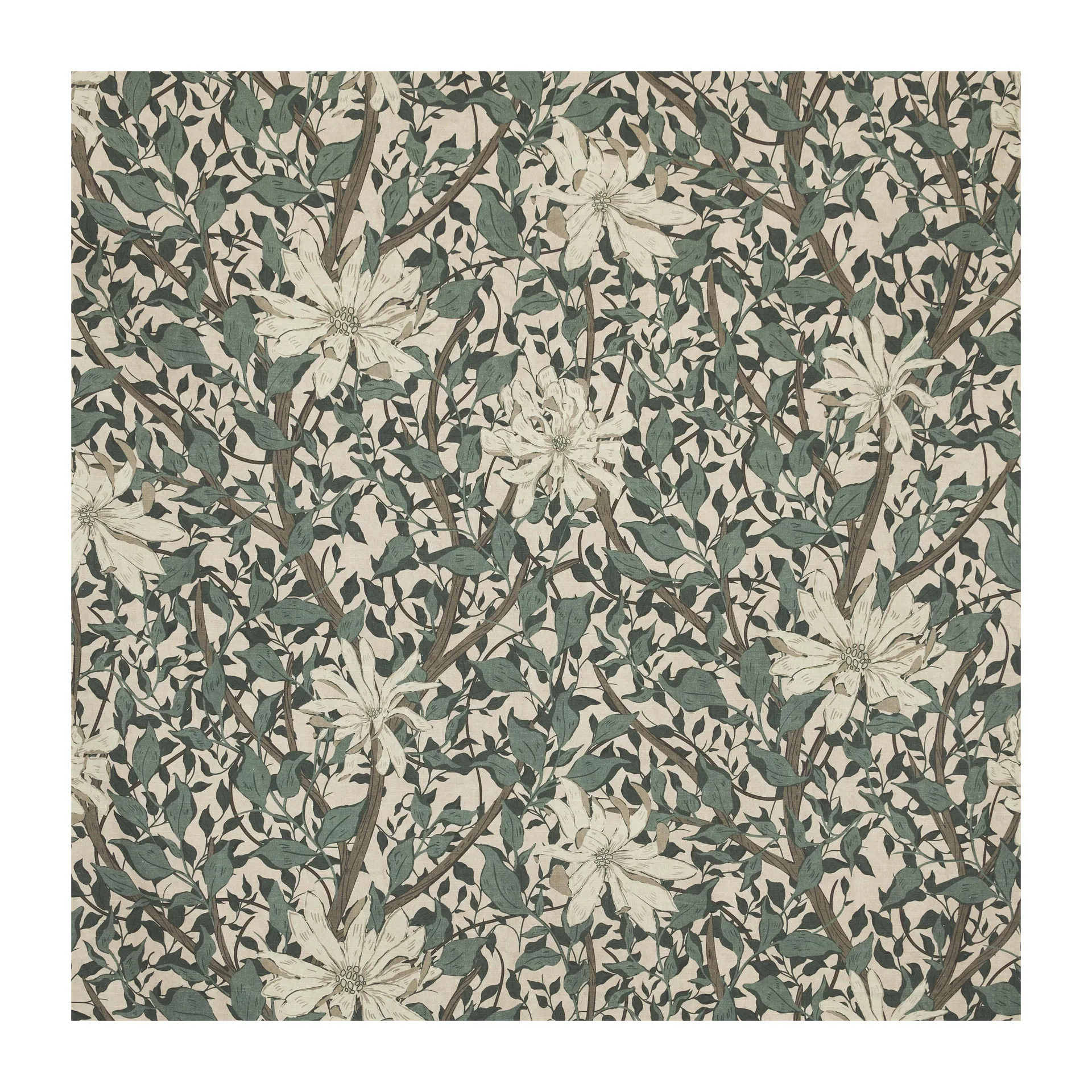 Maja Stoff, Grün Boel & Jan