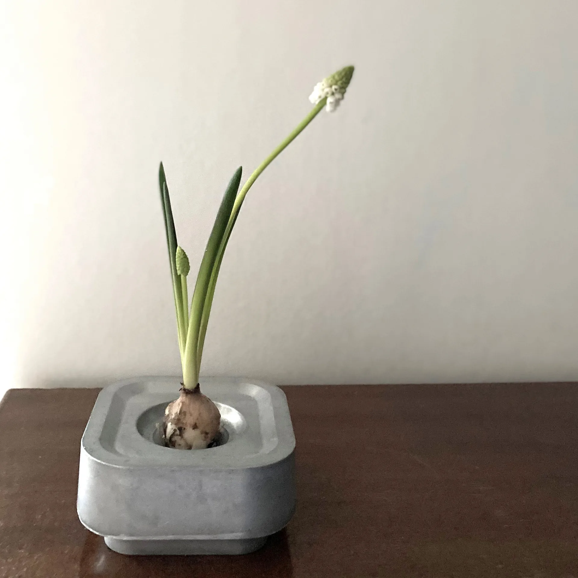 Stumpastaken Eins, Aluminium Born In Sweden