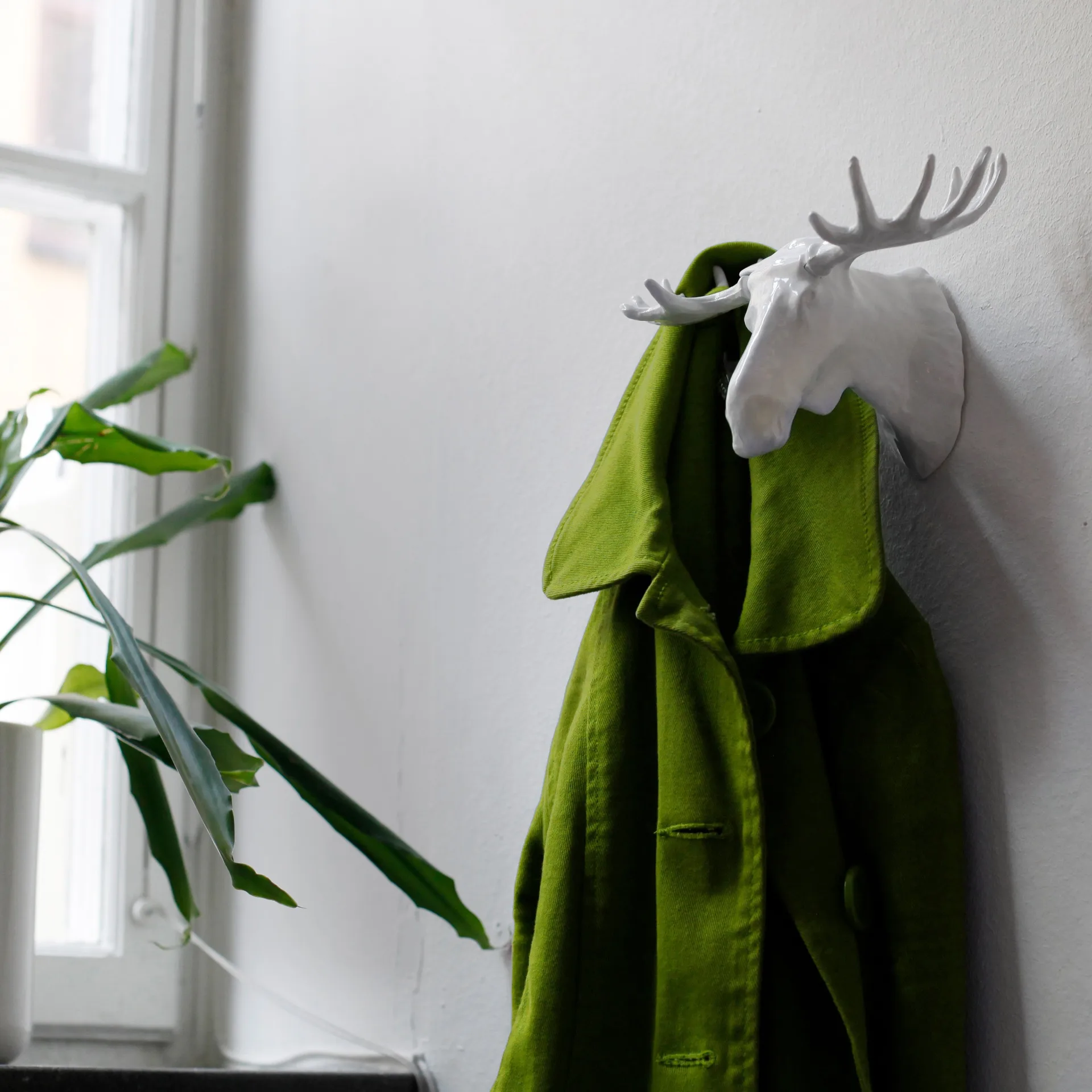 Moose Haken, Weiß Bosign