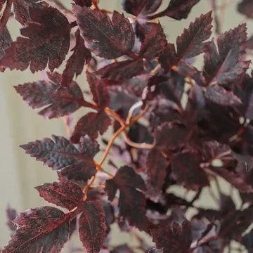 Burgundy Plum Leaves Kunstblumenstrauß - Rot, 85 cm, 1 St. - Botané