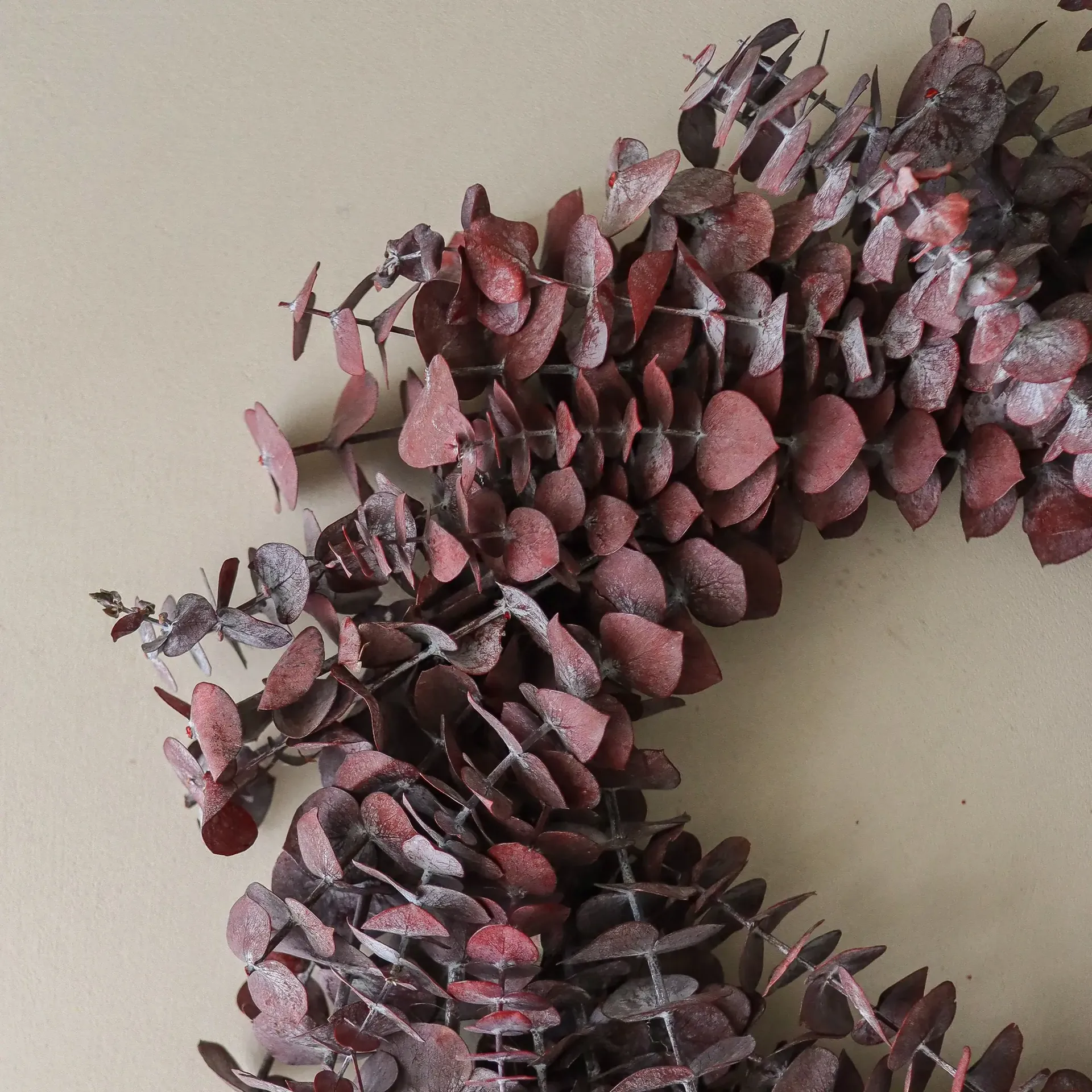 Eucalyptus Wreath Kranz, Dunkelrot, Ø40 cm Botané