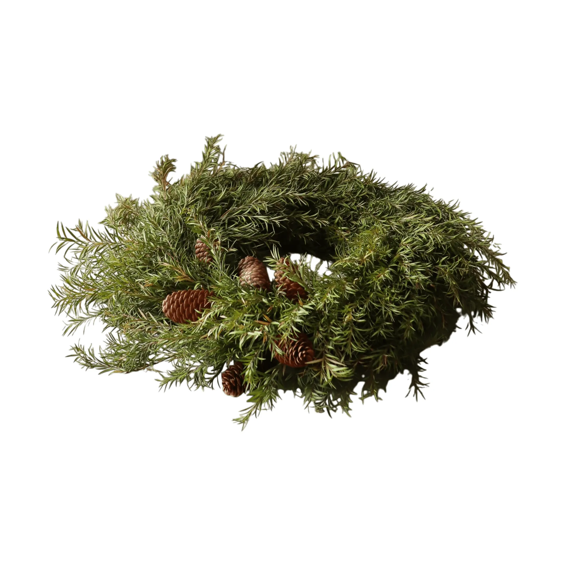Evergreen Pine Wreath Kranz, Tannenzweige, Ø40 cm Botané