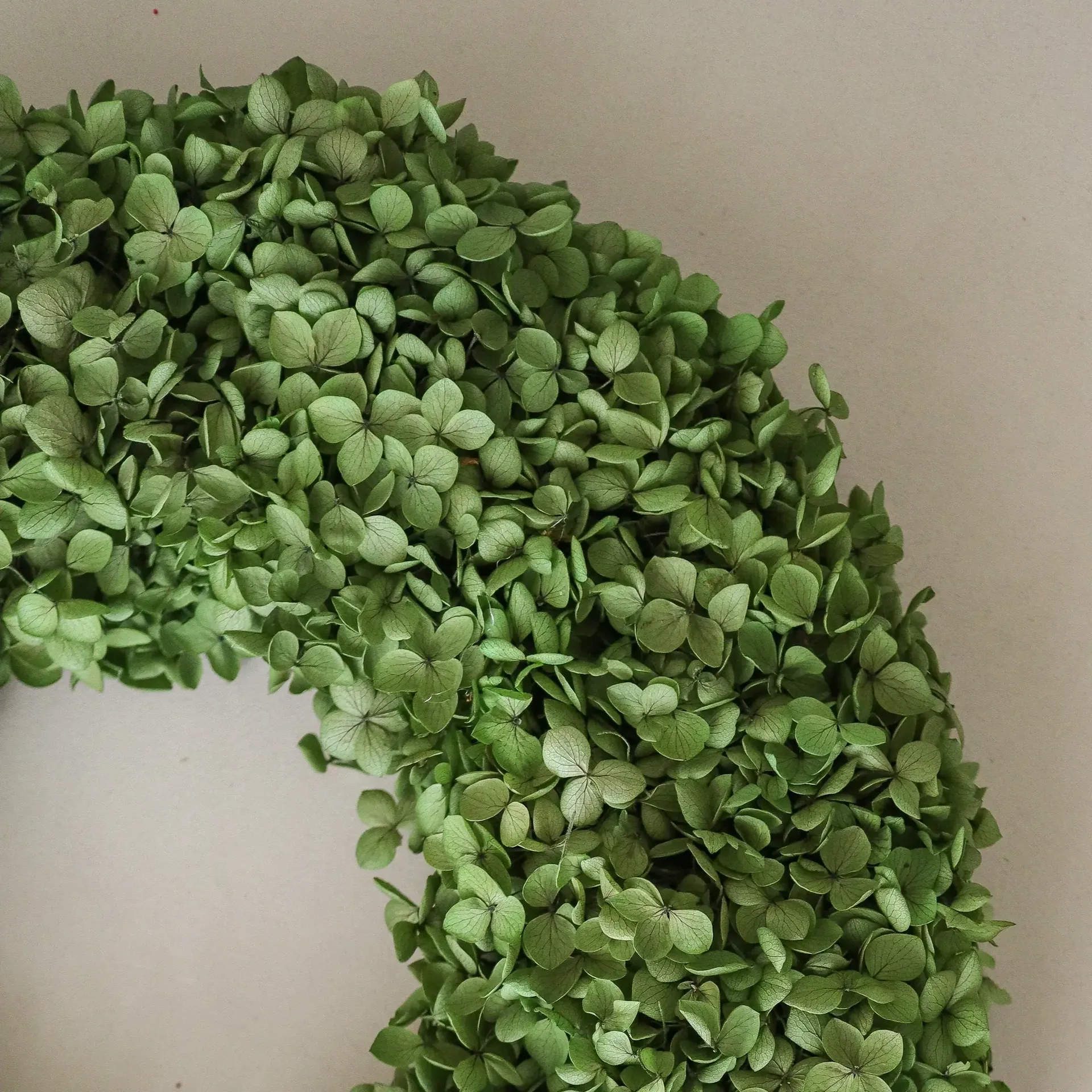 Hortensia Wreath Blumenkranz, Grün, Ø40 cm Botané