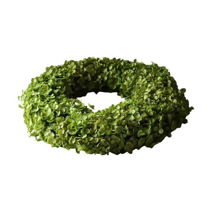 Hortensia Wreath Blumenkranz - Hellgrün, Ø 40 cm - Botané