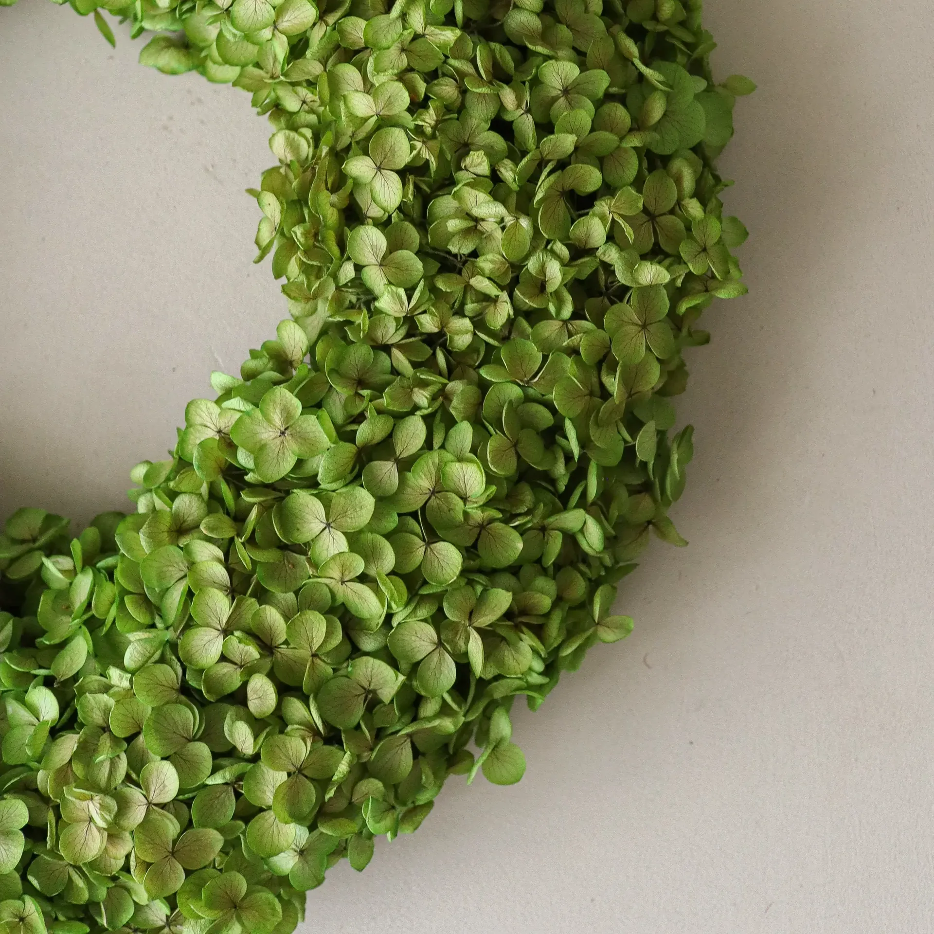 Hortensia Wreath Blumenkranz, Hellgrün, Ø 40 cm Botané
