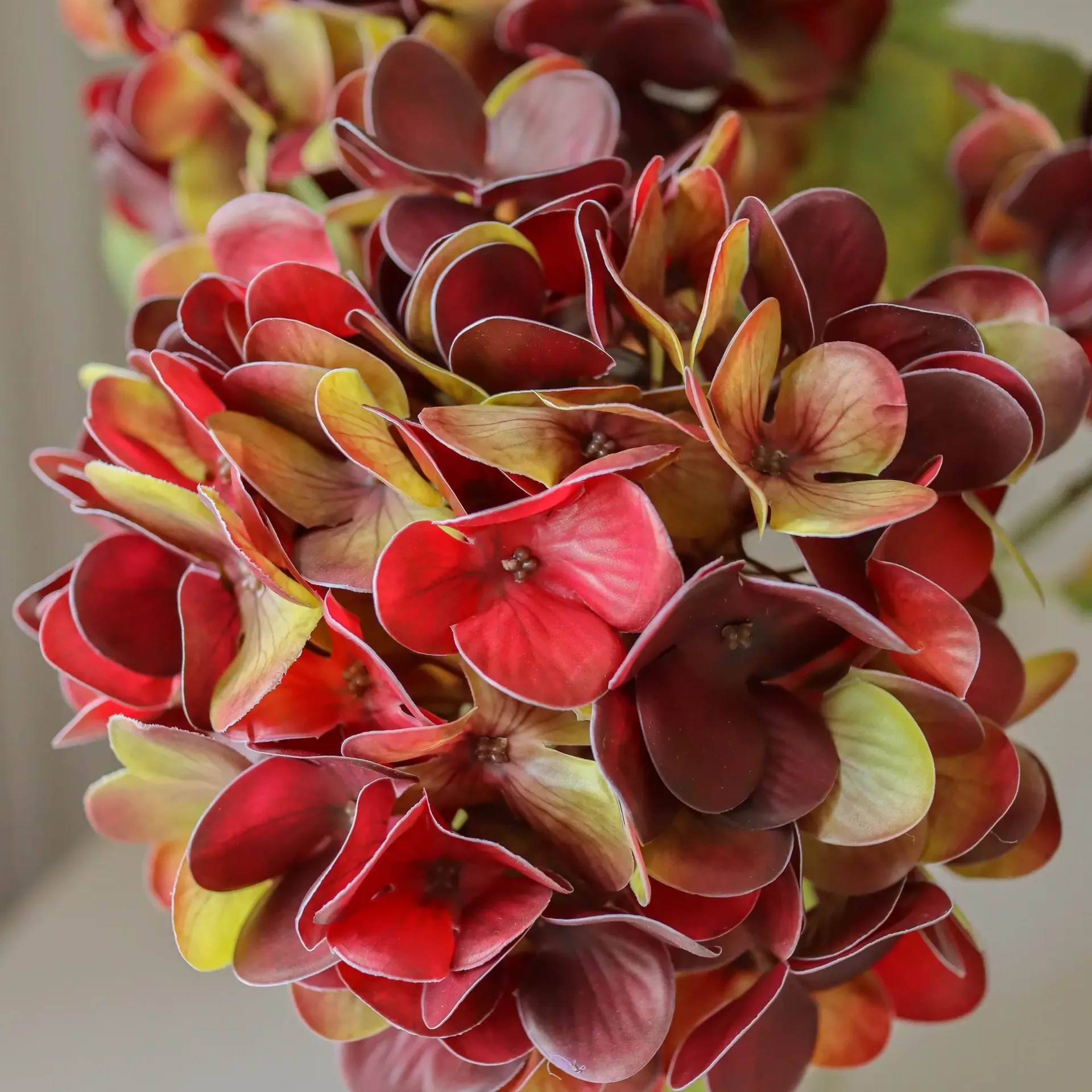 Hortensie Kunstblumenstrauß, Dunkles Burgunderrot, 60 cm, 1 Stk. Botané