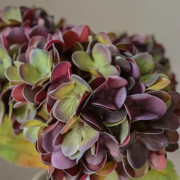 Hortensie Kunstblumenstrauß - Gedämpftes Lila, 60 cm, 1 St. - Botané