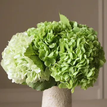 Hortensien Kunstblumen-Bouquet - Grün, 7 St. - Botané