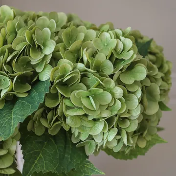 Hortensien Kunstblumen-Bouquet - Moosgrün, 51 cm, 6 St. - Botané