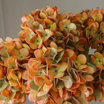 Hortensien Kunstblumen-Bouquet - Orange, 60 cm, 6 St. - Botané