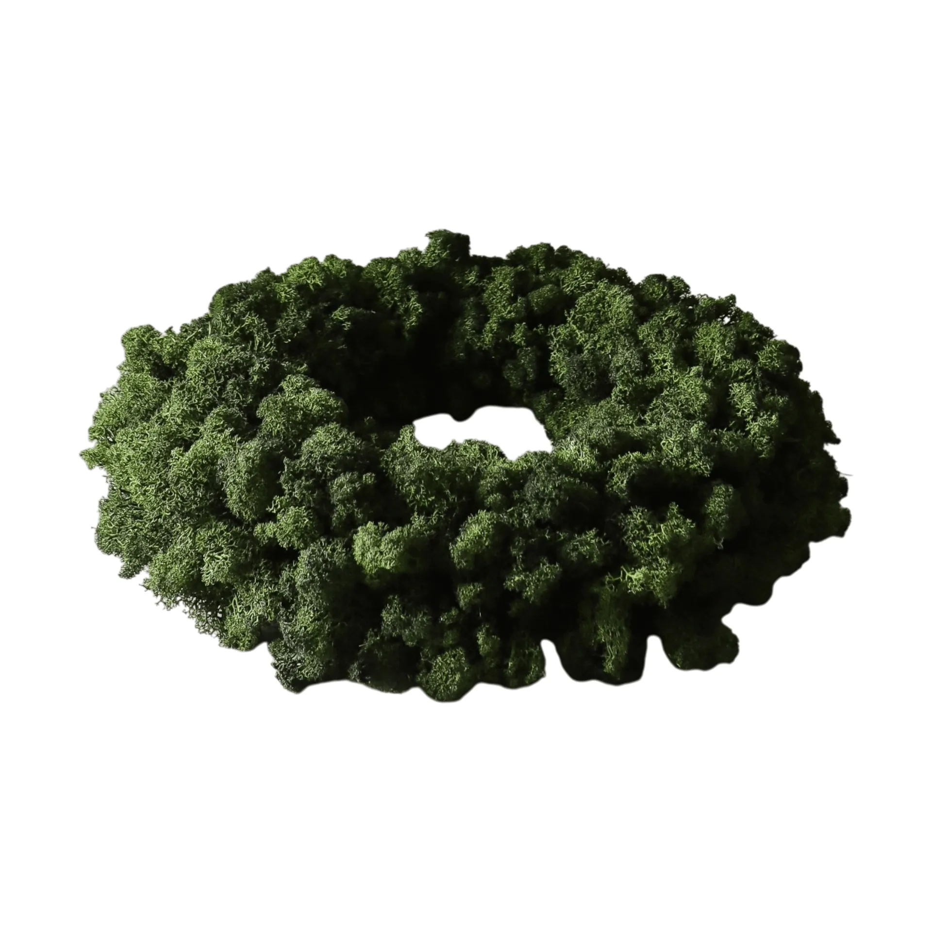 Moss Wreath Mooskranz, Grün, Ø40 cm Botané