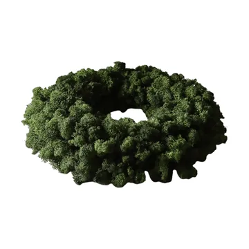 Moss Wreath Mooskranz - Grün, Ø40 cm - Botané