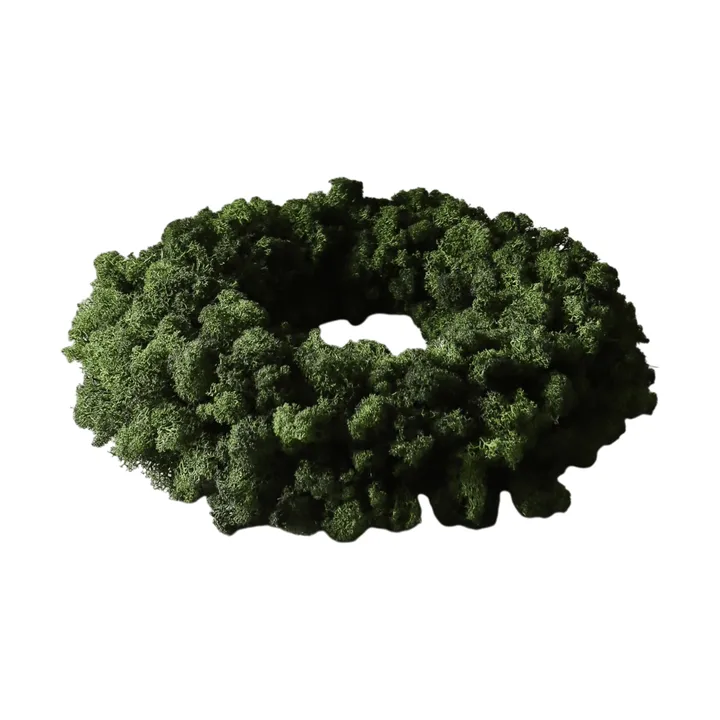 Moss Wreath Mooskranz - Grün, Ø40 cm - Botané