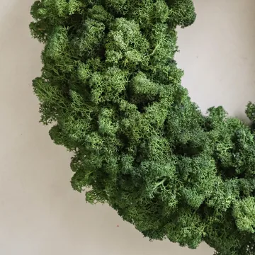 Moss Wreath Mooskranz - Grün, Ø40 cm - Botané