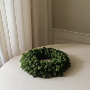 Moss Wreath Mooskranz - Grün, Ø40 cm - Botané