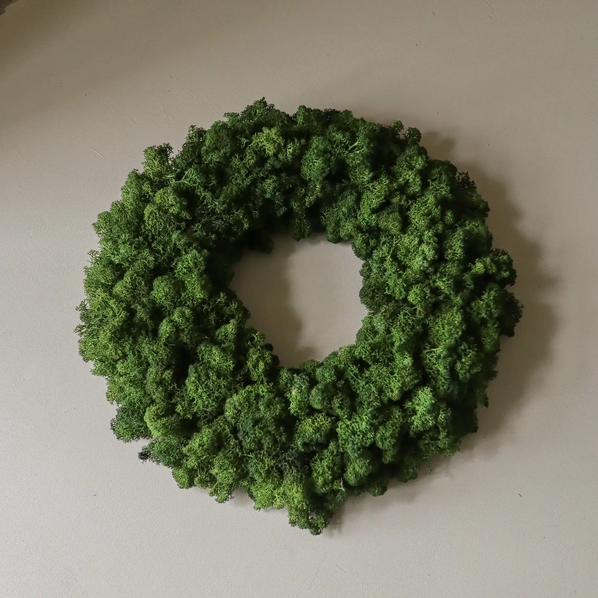 Moss Wreath Mooskranz, Grün, Ø40 cm Botané