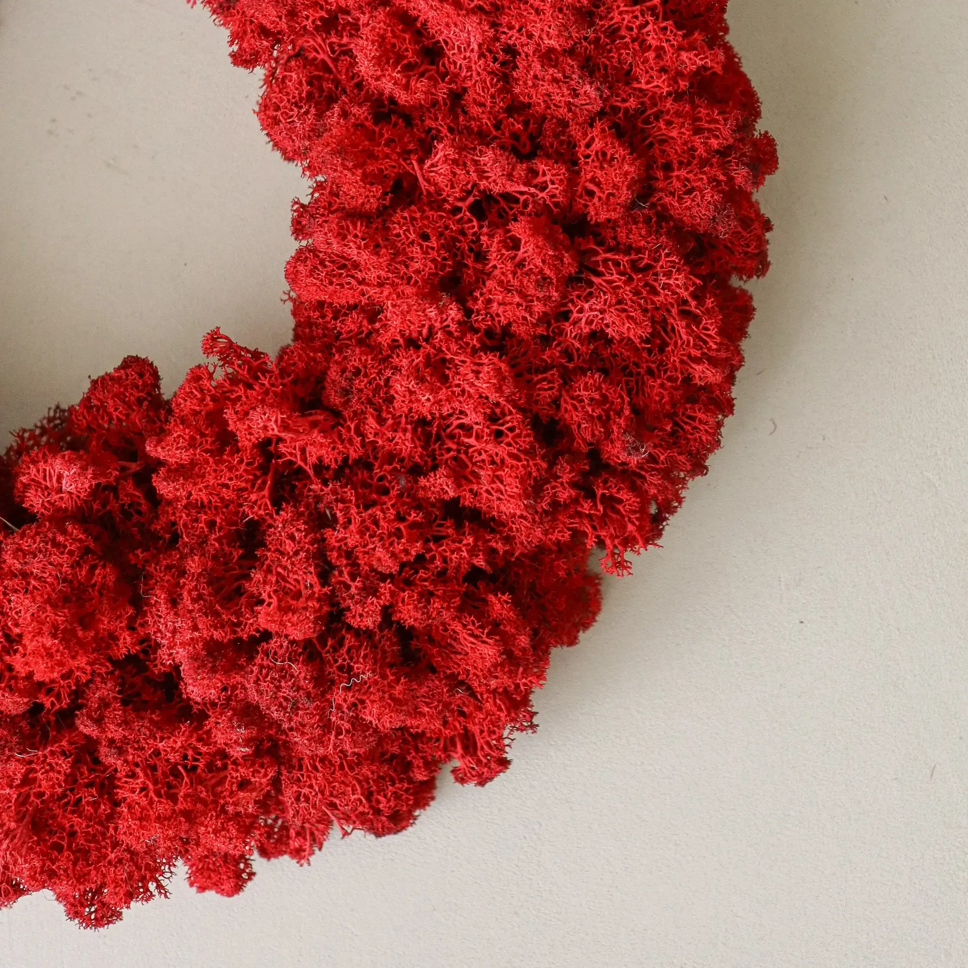 Moss Wreath Mooskranz, Rot, Ø40 cm Botané