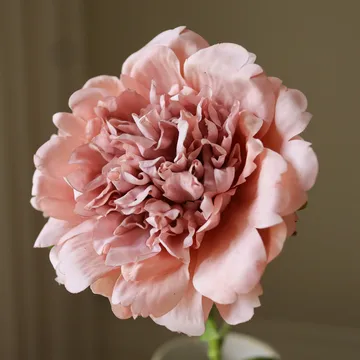 Pion Kunstblumenstrauß - Altrosa, 56 cm, 1 Stk. - Botané