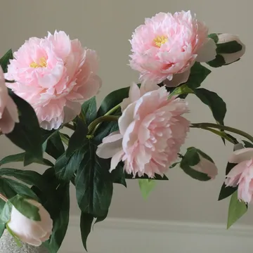 Pion Künstlicher Strauß - Medium, rosa, 5 St. - Botané