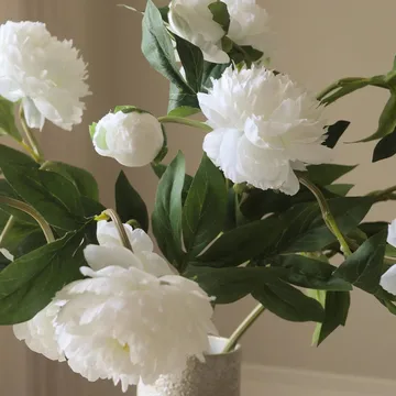Pion Künstlicher Strauß - Medium, Weiß 5 St. - Botané
