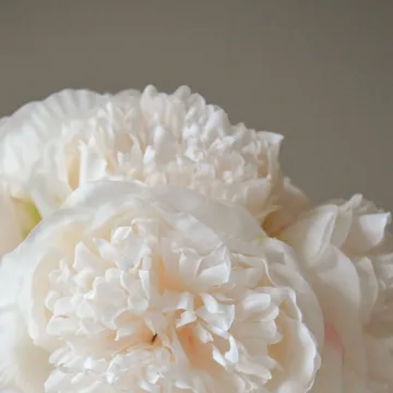 Pion Künstlicher Strauß - Mini, Cream 10 St. - Botané