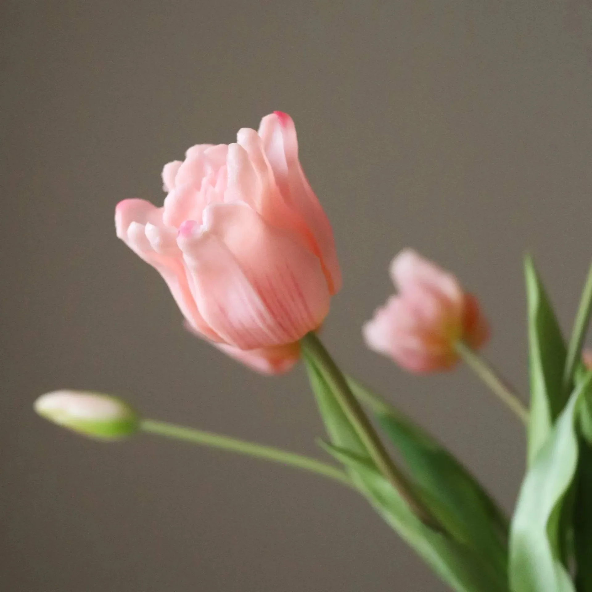Triumph-Tulpen künstlicher Strauß, Hellrosa, 10 St. Botané