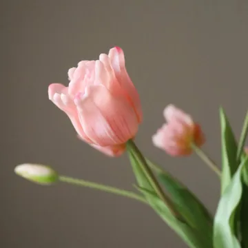 Triumph-Tulpen künstlicher Strauß - Hellrosa, 10 St. - Botané