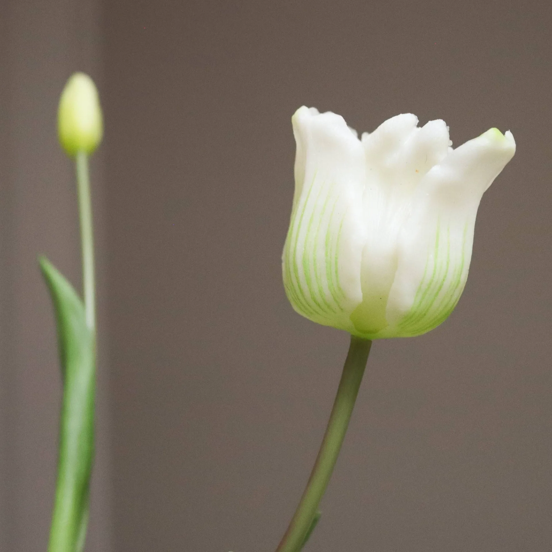 Triumph-Tulpen künstlicher Strauß, Weiß, 10 St. Botané