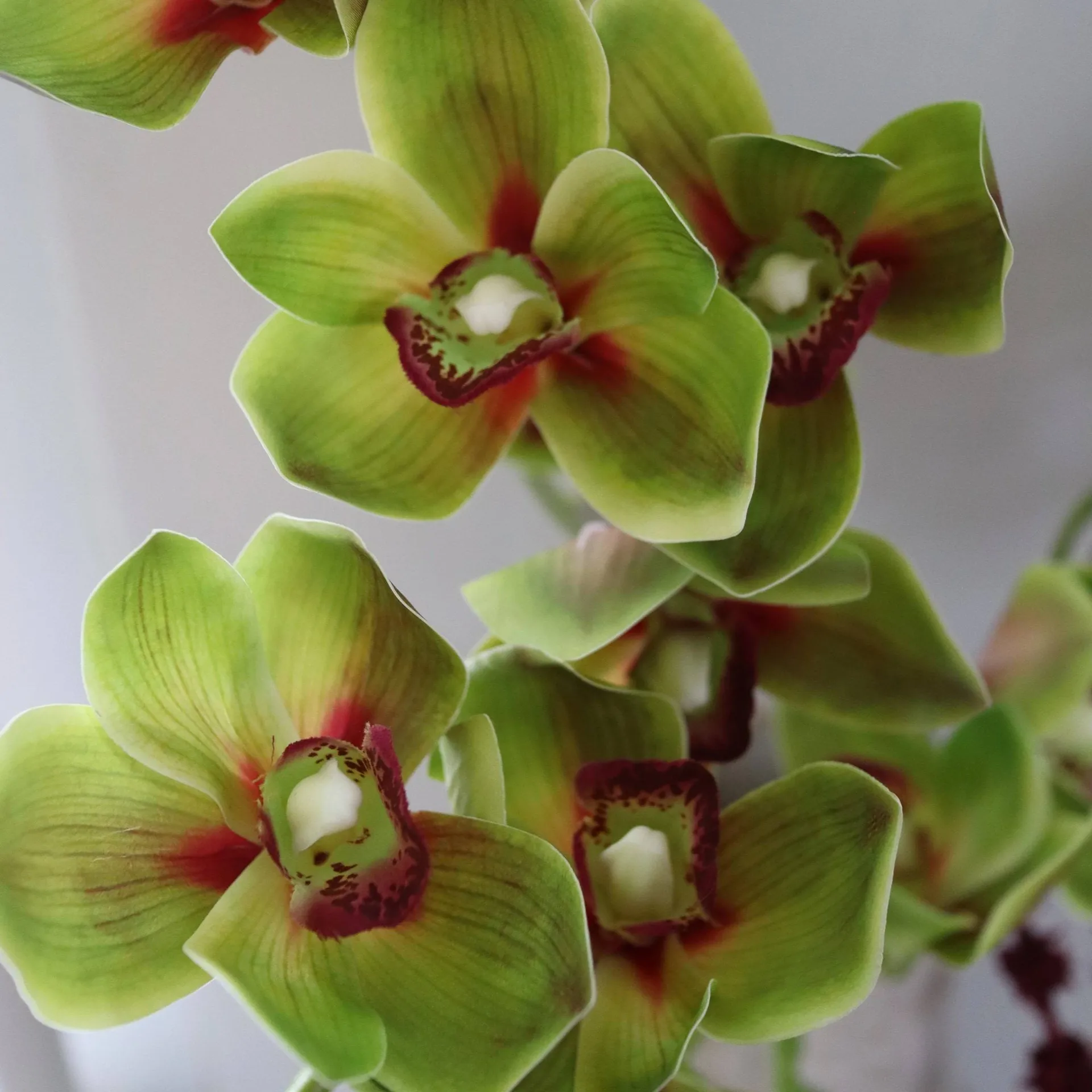 Velvet Vine Kunstblumen-Bouquet, Orchidee-Amarant 6 St. Botané