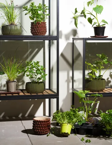 Grower Greens Pflanzenschrank - Schwarz, 81x137 cm - Brafab