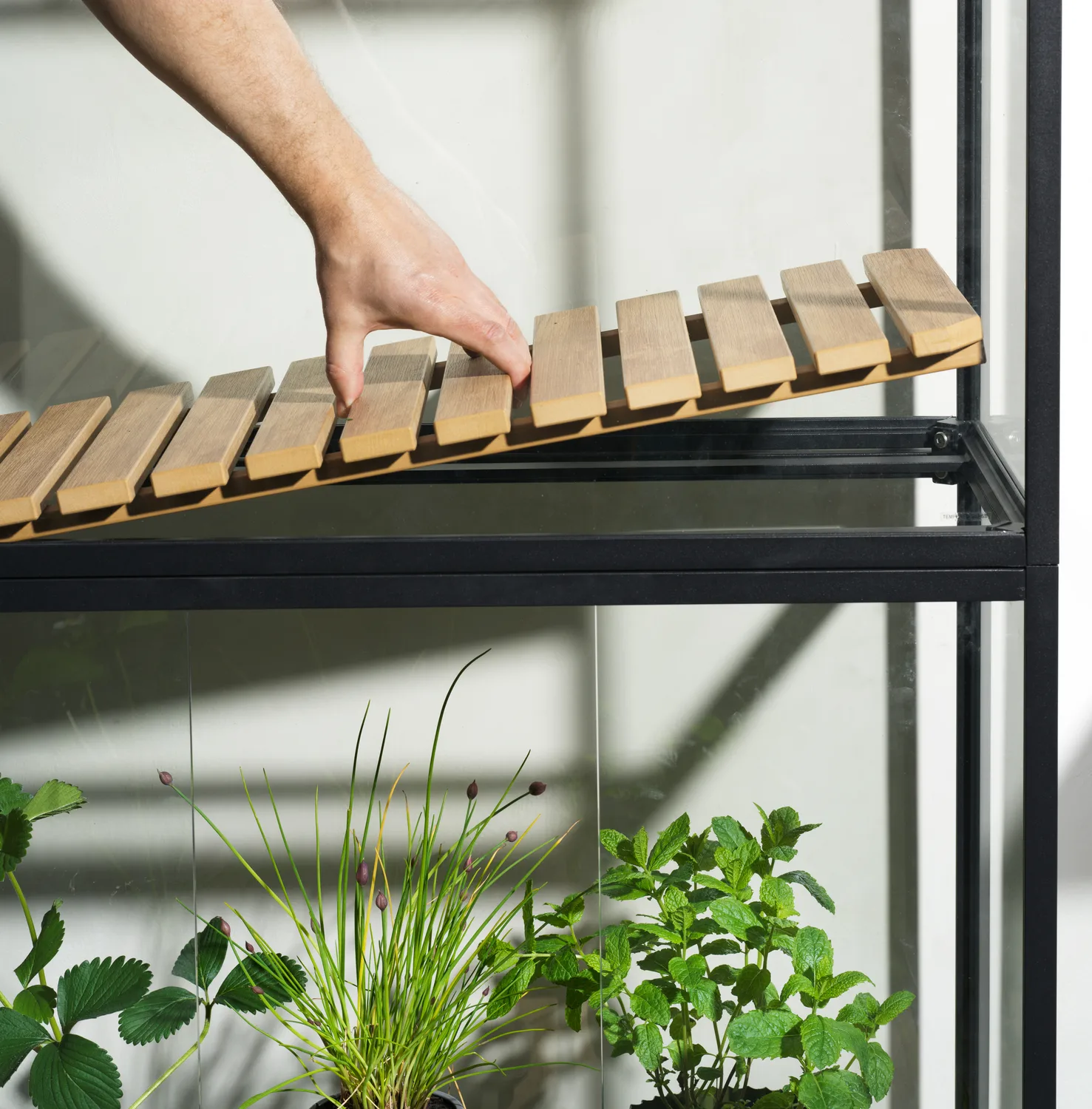 Grower Greens Pflanzenschrank, Schwarz, 81x137 cm Brafab