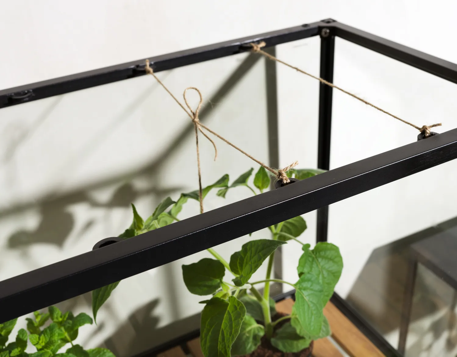 Grower Greens Pflanzenschrank, Schwarz, 81x137 cm Brafab