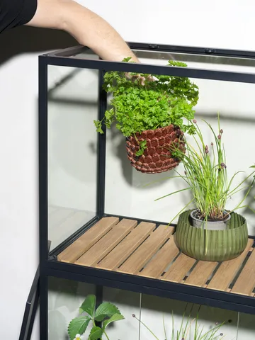 Grower Greens Pflanzenschrank - Schwarz, 81x137 cm - Brafab