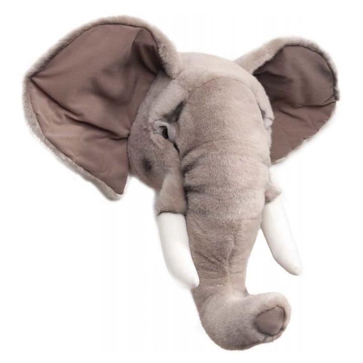 Elefant Tiertrophäe - Elefant - Brigbys