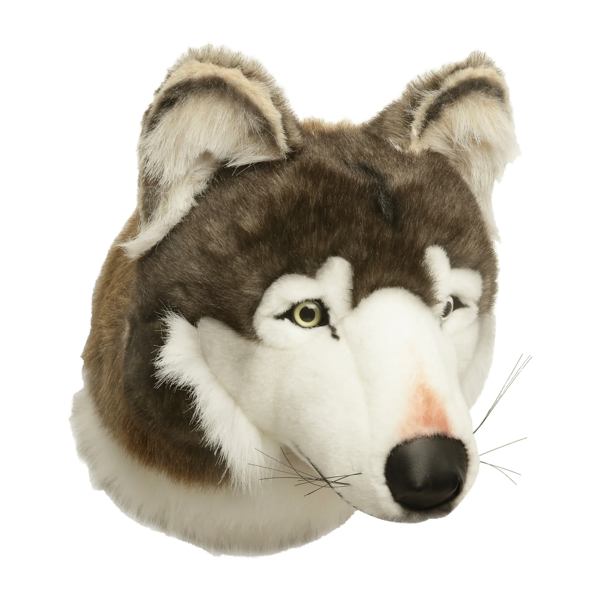 Wolfskopf für die Wand, Wolf Brigbys