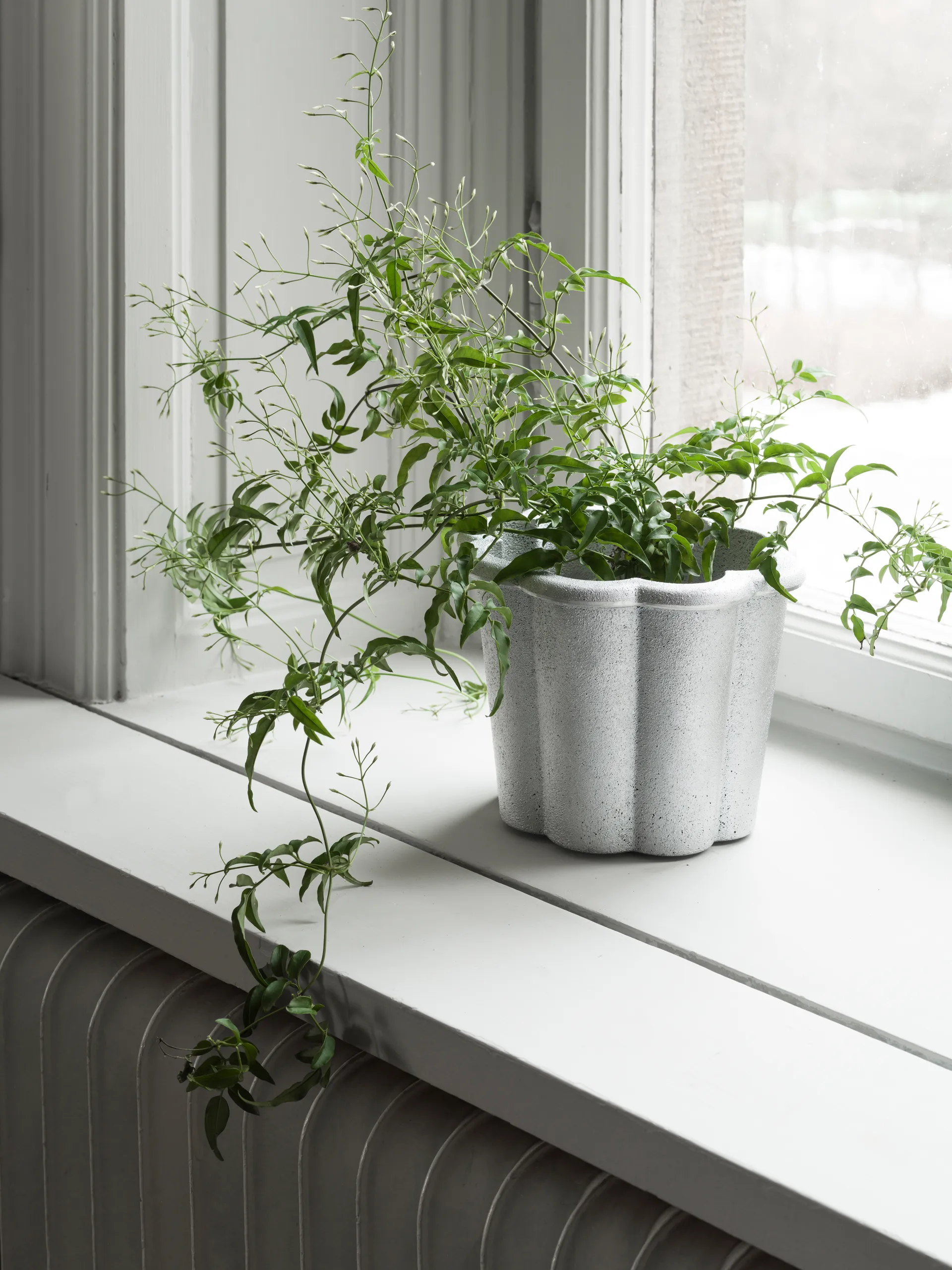 Fjällsippa Blumentopf hoch Ø26x21 cm, Natur Byarums bruk