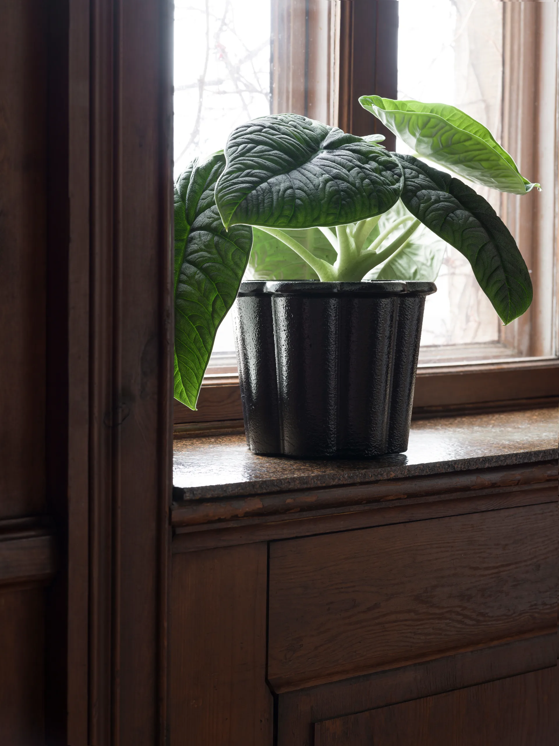 Fjällsippa Blumentopf hoch Ø26x21 cm, Schwarz Byarums bruk